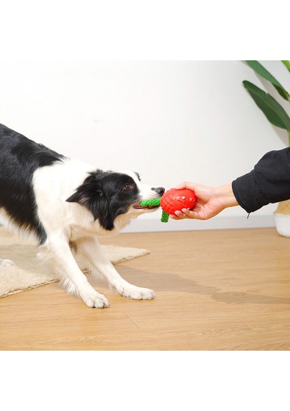 Gıcırdayan Köpek Oyuncakları - Yumuşak, Doğal Kauçuk - Yavru Köpek - Küçük Köpekler - Orta Boy Köpekler ve Kör Köpekler - Iç Mekanda Oyun(Kırmızı) (Yurt Dışından) indirimleri