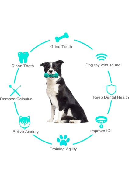 Agresif Çiğneme Makineleri Için Köpek Gıcırtılı Diş Fırçası Çiğneme Oyuncak, Küçük Orta Köpekler Için Köpek Diş Temizleme Cızırtılı Çubuk, Mavi (Yurt Dışından) fırsatları