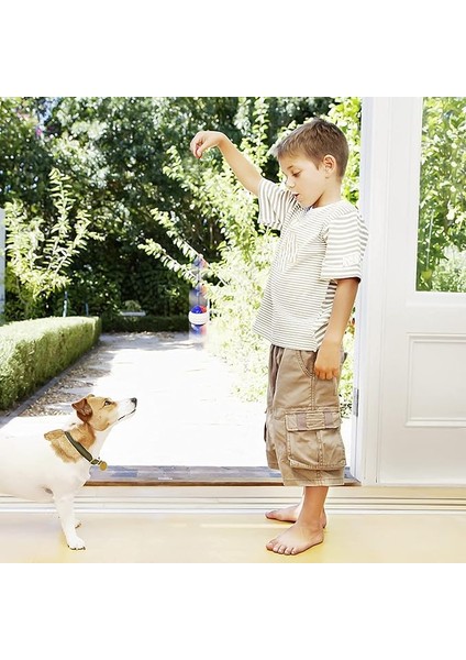 Interaktif Köpek Oyuncak, Orta Büyük Cinsler Için Köpekler Yapboz Oyuncakları Gerilebilir Halatlı Çiğneme Topu, Alaskan Golden Retriever, Germa Için Esneklik ve Hassasiyet Eğitimi (Yurt Dışından)