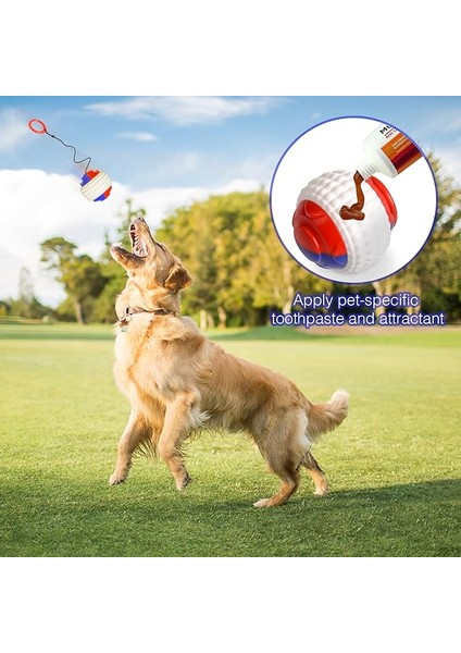 Interaktif Köpek Oyuncak, Orta Büyük Cinsler Için Köpekler Yapboz Oyuncakları Gerilebilir Halatlı Çiğneme Topu, Alaskan Golden Retriever, Germa Için Esneklik ve Hassasiyet Eğitimi (Yurt Dışından)