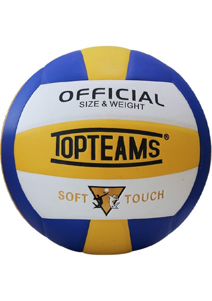 Yarışma Için 5 Numaralı Şişme Voleybol (Yurt Dışından)