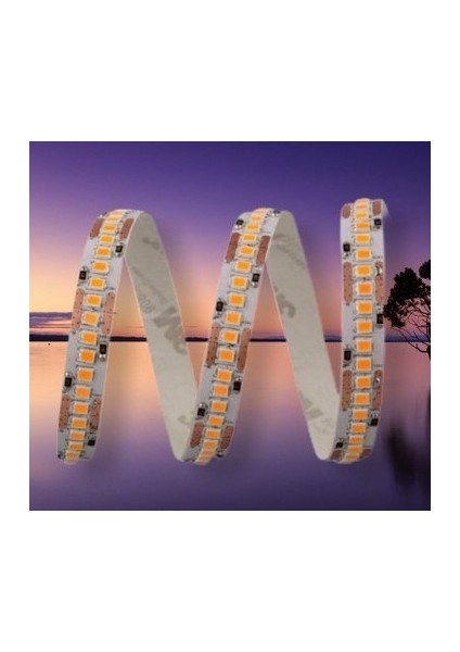 5 Metre Cata Ct 4538 240 Çipli Iç Mekan Şerit LED 3200K Gün Işığı modelleri