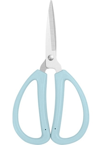 Fildişi Tarzı Profesyonel Dikiş Veya Kumaş Kesici Giyim Nakış Terzi Veya Dikiş Için Ev Kırtasiye El Sanatları Araçları (Yurt Dışından)