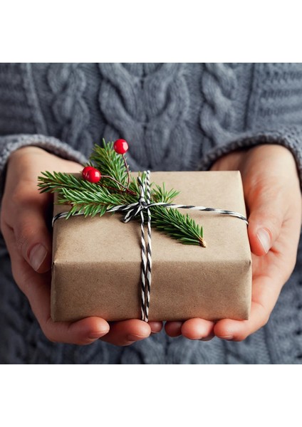 H 100 Metre Stili 100 Metreroll Iki Renk Pamuklu Fırıncı Sicim Halat Kordon Noel Düğün Dekorasyon Hediye Paketleme Dize Dıy Hediye El Sanatları Wrap (Yurt Dışından)
