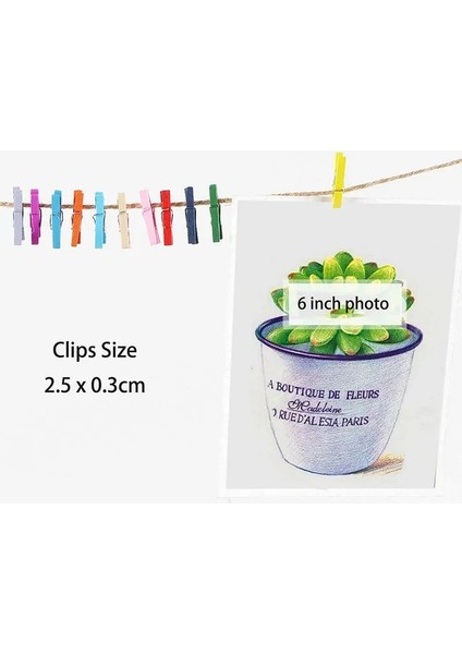 Kırmızı Stil Lot Mini Renkli Küçük Ahşap Klipler Dty Clotheraft Dekor Için 2.5x0.3cm Bahar Ahşap Klipler Aperatif Klip Fotoğraf Klipleri Mandal (Yurt Dışından) indirimleri