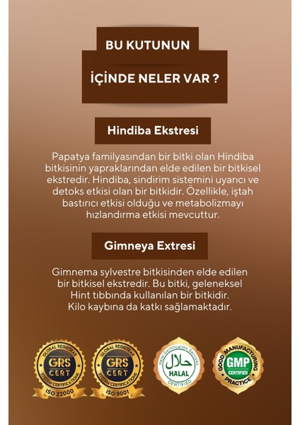 Vita Ceel Hindiba Ve Gimneya Detox Kahve 30x3gr