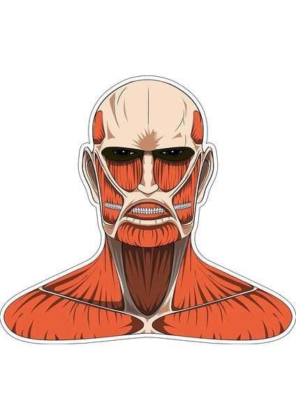 Titan Tarzı Titan Eren Jaeger Mikasa Levi Şekil Portmanto Anime Model Oyuncaklar Ev Giyim Mağazası Takım Elbise Askısı Model Oyuncaklar (Yurt Dışından)