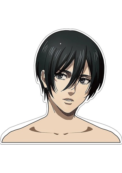 Mikasa.ackerman-1 Stili Titan Eren Jaeger Mikasa Levi Şekil Portmanto Anime Model Oyuncaklar Ev Giyim Mağazası Takım Elbise Askısı Model Oyuncaklar (Yurt Dışından)