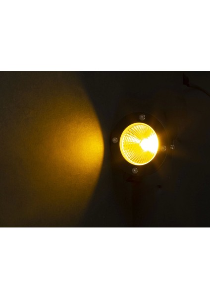 LED Bahçe Armatürü 10W Noas