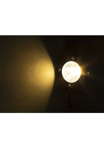 LED Bahçe Armatürü 10W Noas