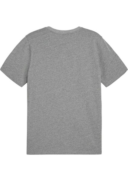 Teamgoal Casuals Tee Erkek Futbol Tişörtü 65861533 Gri fiyatları