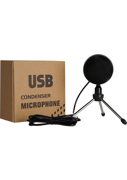 WM-05 Işıklı Condenser USB Mikrofon