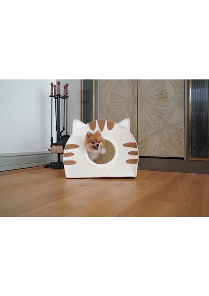Felted Kedi Köpek Evi