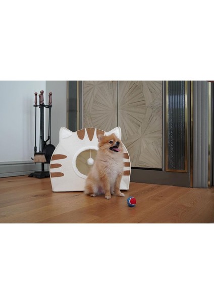 Felted Kedi Köpek Evi