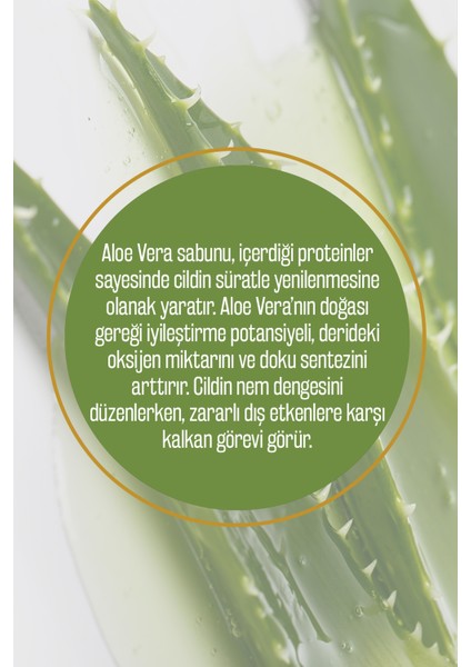 %100 Doğal Spa Serisi Aloe Vera Ve Zeytinyağı Katı Sabun El Sabunu Nem Dengeleyici 250 gr