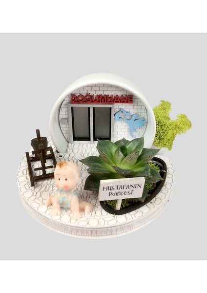 Gücüne Güç Katmaya Geldim - Erkek Bebek