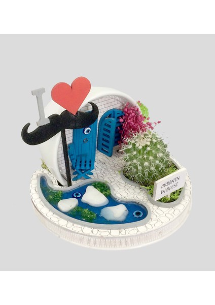 Babamın Evi modelleri