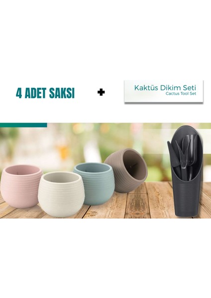 Plant Home Kaktüs Dikim Seti + 4 Adet Kaktüs Sukulent Saksısı (Renkli)