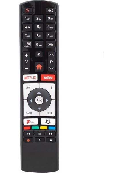 RC4319 H0362B LCD LED Tv Kumanda