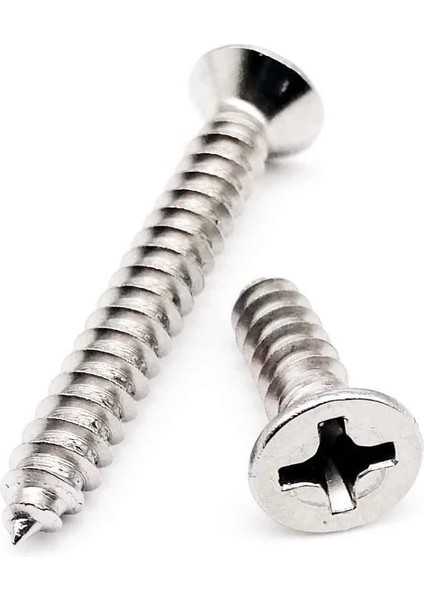 Sunta Vidası Galvanizli 5X40 mm 100 Adet