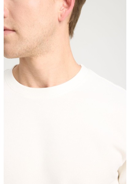 W241404104 Düz O Yaka T-Şhırt Ecru fırsatları