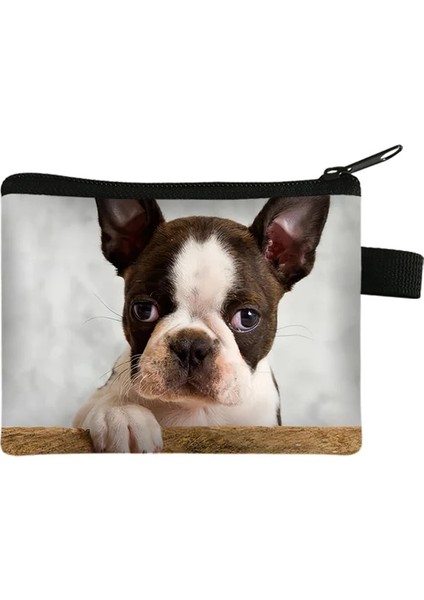 LQBDOUYGX10W Bichon / Frise Beagle / Boston Terrier Köpek Baskı Madeni Para Çanta Kadın Kimlik Kredi Kartı Tutucu Mini Para Para Çantaları Rahat Cüzdan Hediye (Yurt Dışından) indirimleri