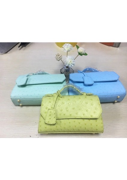 Devekuşu Kahverengi Lüks Sıcak Satış Yeni Varış Moda Devekuşu Çanta Çanta 2020 Çapraz Vücut Omuzdan Askili Çanta Tasarımcısı Kadın Devekuşu Çanta (Yurt Dışından) modelleri