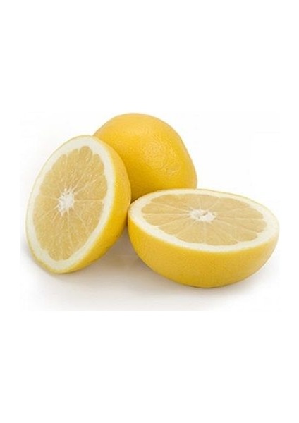 Greyfurt Fidanı 120 cm(Citrus paradisi) fiyatları