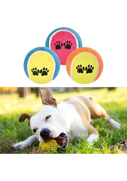 Mbb Eticaret 3lü Renkli Desenli Tenis Topu Kedi Köpek Oyuncağı