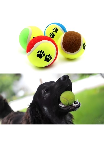 Mbb Eticaret 3lü Renkli Desenli Tenis Topu Kedi Köpek Oyuncağı modelleri