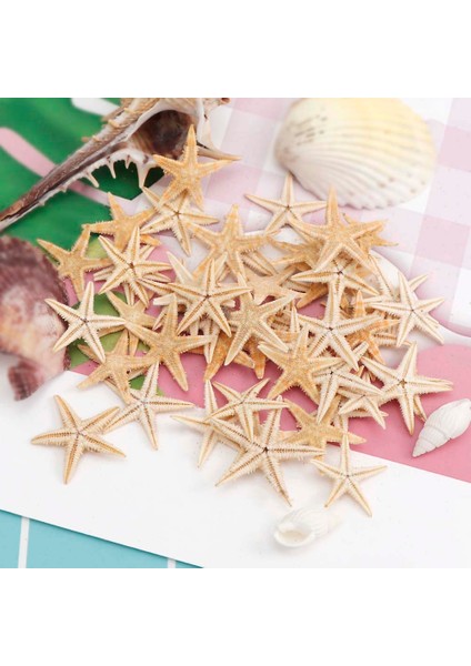 100 Adet Doğal Denizyıldızı Deniz Kabuğu Plaj El Sanatları Doğal Deniz Yıldızları Dıy Plaj Düğün Dekorasyon El Sanatları Ev Dekor 1-5 cm (Yurt Dışından) fiyatları