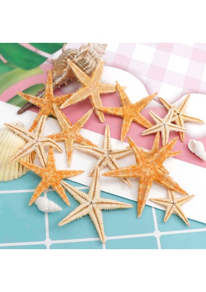100 Adet Doğal Denizyıldızı Deniz Kabuğu Plaj El Sanatları Doğal Deniz Yıldızları Dıy Plaj Düğün Dekorasyon El Sanatları Ev Dekor 1-5 cm (Yurt Dışından) modelleri