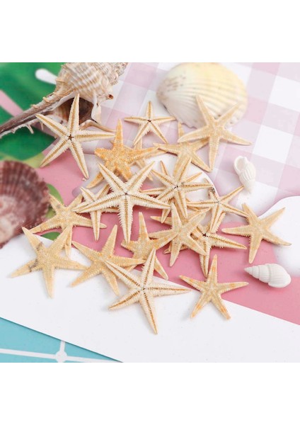 100 Adet Doğal Denizyıldızı Deniz Kabuğu Plaj El Sanatları Doğal Deniz Yıldızları Dıy Plaj Düğün Dekorasyon El Sanatları Ev Dekor 1-5 cm (Yurt Dışından) fırsatları