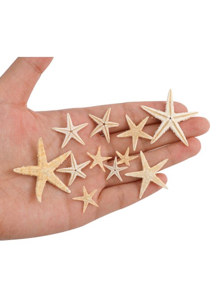 100 Adet Doğal Denizyıldızı Deniz Kabuğu Plaj El Sanatları Doğal Deniz Yıldızları Dıy Plaj Düğün Dekorasyon El Sanatları Ev Dekor 1-5 cm (Yurt Dışından) indirimleri