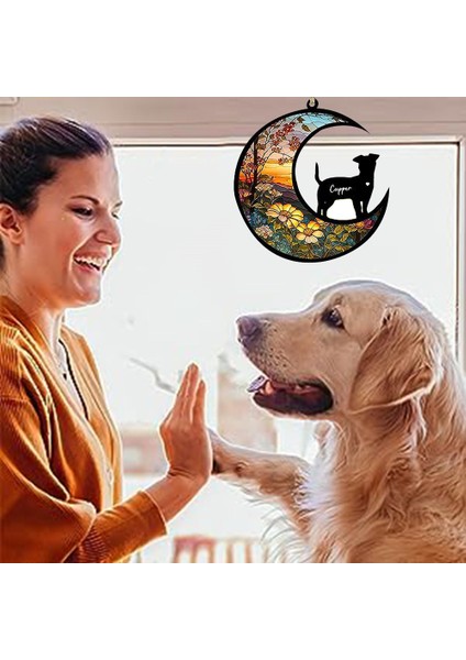 Köpek Anıt Güneş Yakalayıcı, Isim Tarihle Kişiselleştirilmiş Köpek Irkları Güneş Yakalayıcı, Evcil Hayvan Kaybı Güneş Yakalayıcı, Lekeli Akrilik Işık,декоративные Подарки (Yurt Dışından) indirimleri