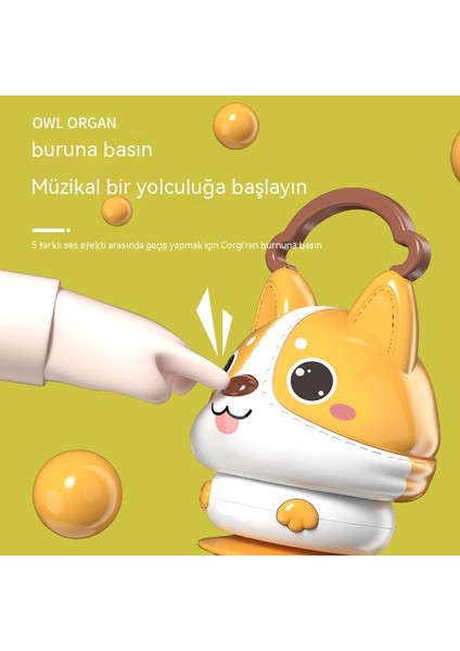 Janjon Star Bebek Akordeon Oyuncak Bebek Hurdy-Gurdy Yatıştırıcı Müzik Erken Eğitim Aydınlanma Çocuk Karikatür Müzik Aleti Oyuncak (Yurt Dışından) modelleri