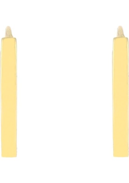 925 Ayar Gümüş Oval Küpe fiyatları