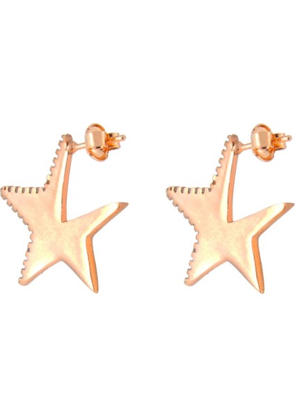 925 Ayar Gümüş Yarı Taşlı Yıldız Küpe