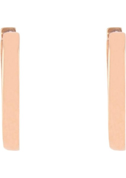 925 Ayar Gümüş Oval Kenar Küpe fiyatları