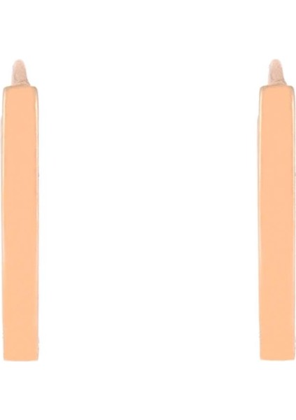 925 Ayar Gümüş Oval Küpe fiyatları