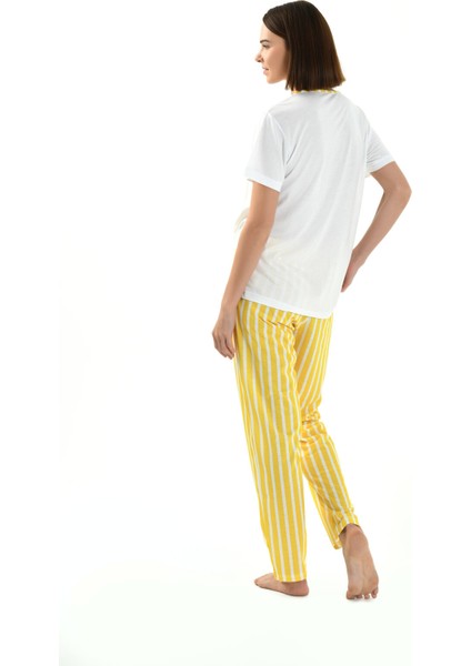 Çizgili Viskon Kumaş Kadın Pijama Takımı fiyatları