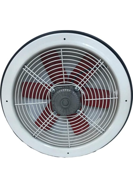 25 cm Cam ve Duvar Aspiratörü 780 M³/h 1400 Rpm