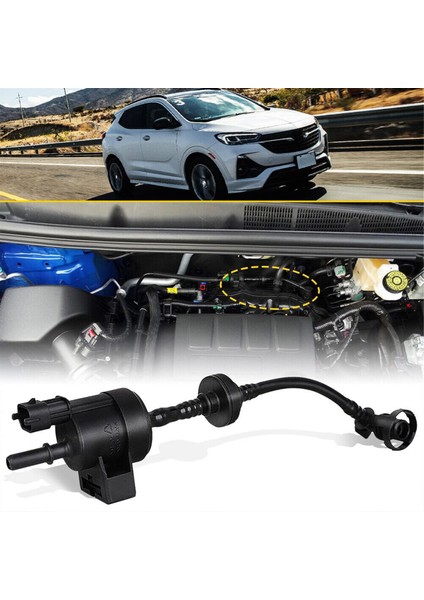 1.4l Bidon Boşaltma Solenoid Valfı 55573017 0280142505 (Yurt Dışından)