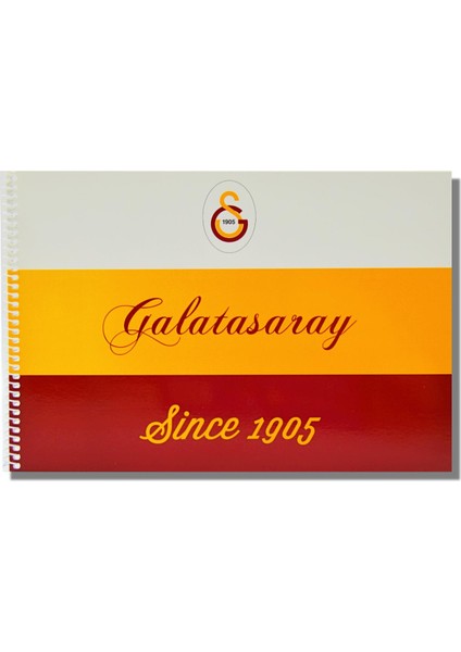 Galatasaray 17X24 15 Yaprak Karton Kapak Spiralli Resim Defteri (463637)
