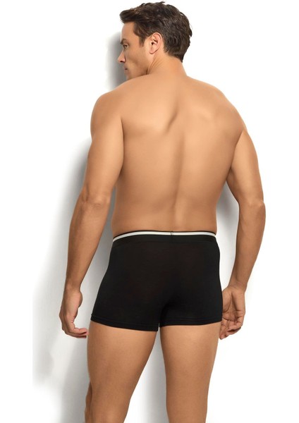 Erkek Mikromodal 3'lü Çok Renkli Boxer 243 fiyatları