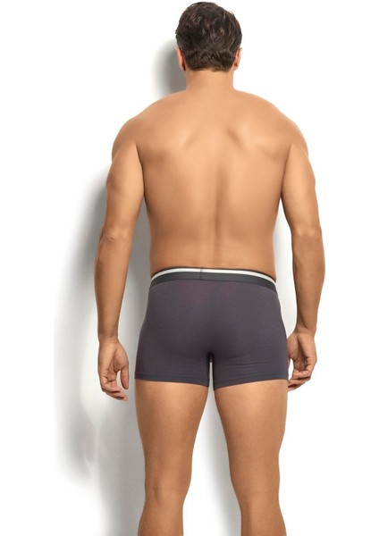 Erkek Mikromodal 3'lü Çok Renkli Boxer 243 fırsatları