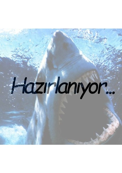 Dıscovery 4.00MT Up To 100GR Surf Kamışı