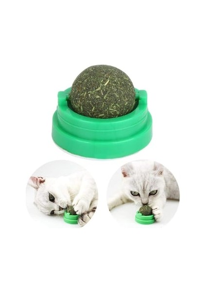 Catnip Kedi Naneli Yalama Topu