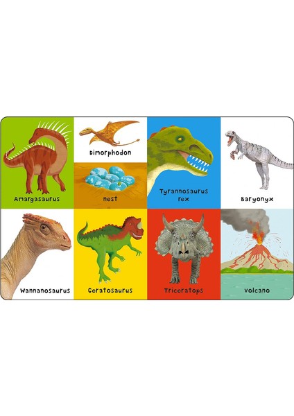Prıddy Books First 100 Dinosaurs