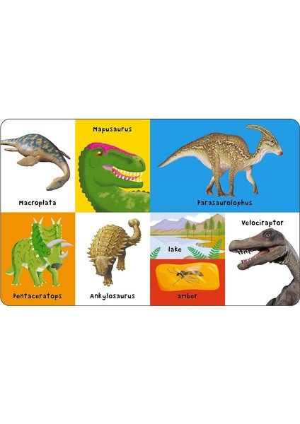 Prıddy Books First 100 Dinosaurs